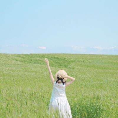 管家婆一码一肖资料手机app下载