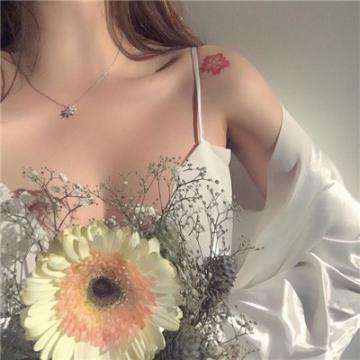 乐宝体育官网登录入口手机app下载